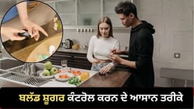 ਬਲੱਡ ਸ਼ੂਗਰ ਨੂੰ ਰੱਖਣਾ ਹੈ ਕੰਟਰੋਲ? ਮਾਹਰ ਨੇ ਦਿੱਤੇ ਖਾਣ-ਪੀਣ ਦੇ ਟਿਪਸ