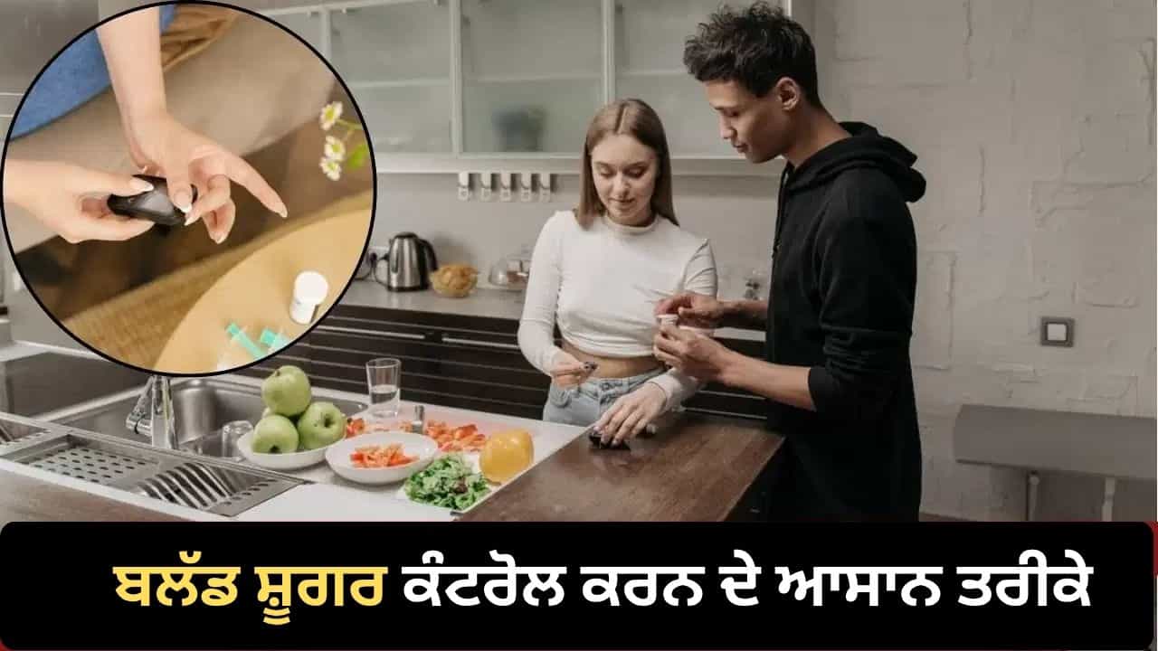 ਬਲੱਡ ਸ਼ੂਗਰ ਰਹਿੰਦੀ ਹੈ ਹਾਈ? ਹੈਲਦੀ ਫੂਡਸ ਤੋਂ ਲੈ ਕੇ ਡ੍ਰਿੰਕਸ ਤੱਕ, ਮਾਹਰ ਨੇ ਦੱਸਿਆ ਕੀ ਖਾਣਾ ਹੈ ਬਿਹਤਰ ਬਲੱਡ ਸ਼ੂਗਰ ਰਹਿੰਦੀ ਹੈ ਹਾਈ? ਹੈਲਦੀ ਫੂਡਸ ਤੋਂ ਲੈ ਕੇ ਡ੍ਰਿੰਕਸ ਤੱਕ, ਮਾਹਰ ਨੇ ਦੱਸਿਆ ਕੀ ਖਾਣਾ ਹੈ ਬਿਹਤਰ