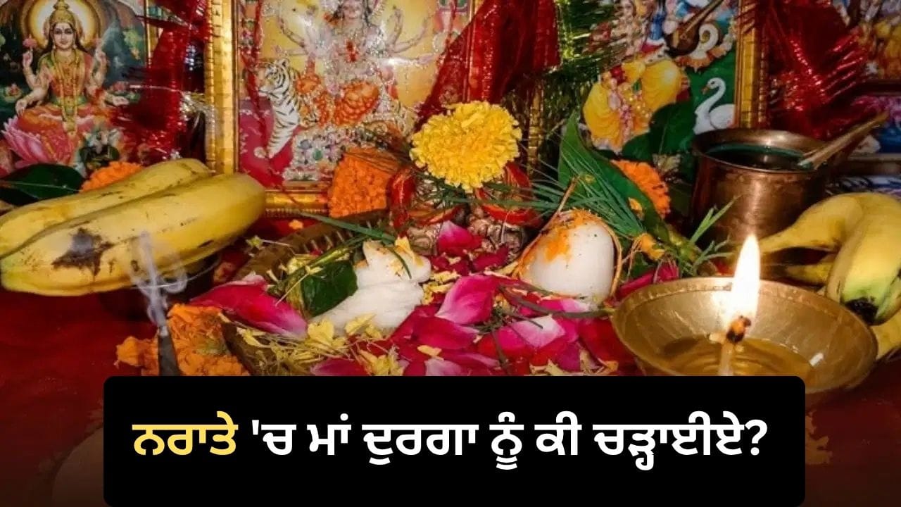 ਨਰਾਤੇ ਦੌਰਾਨ ਰਾਸ਼ੀ ਅਨੁਸਾਰ ਮਾਂ ਦੁਰਗਾ ਨੂੰ ਕੀ ਚੜ੍ਹਾਈਏ ਅਤੇ ਕਿਹੜੇ ਮੰਤਰ ਦਾ ਜਾਪ ਕਰੀਏ?