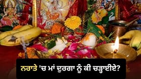 ਨਰਾਤੇ 'ਚ ਰਾਸ਼ੀ ਮੁਤਾਬਕ ਚੜ੍ਹਾਓ ਮਾਂ ਦੁਰਗਾ ਨੂੰ ਭੋਗ, ਜਾਣੋ ਸਹੀ ਮੰਤਰ