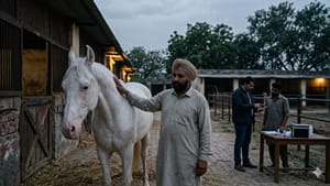 ਪੰਜਾਬ 'ਚ ਬੇਸ਼ਕੀਮਤੀ ਘੋੜਿਆਂ ਦੀਆਂ ਰਹੱਸਮਈ ਮੌਤਾਂ, ਕਿਡਨੀ ਫ਼ੇਲ੍ਹ; HC ਸਖ਼ਤ ਪੰਜਾਬ 'ਚ ਬੇਸ਼ਕੀਮਤੀ ਘੋੜਿਆਂ ਦੀਆਂ ਰਹੱਸਮਈ ਮੌਤਾਂ, ਕਿਡਨੀ ਫ਼ੇਲ੍ਹ; HC ਸਖ਼ਤ
