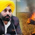 ਪੰਜਾਬ ‘ਚ ਪਰਾਲੀ ਸਾੜਨ ਦੇ ਮਾਮਲੇ 93% ਤੋਂ ਵੱਧ ਘਟੇ, ਸਰਕਾਰ ਤੇ ਕਿਸਾਨ ਨੇ ਮਿਲਕੇ ਕਿਵੇਂ ਪਾਈ ਸਫ਼ਲਤਾ?