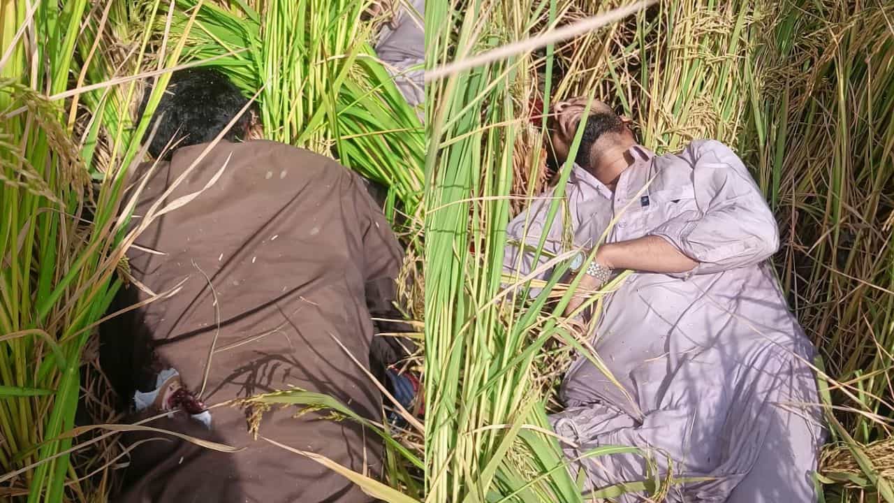 ਤਰਨਤਾਰਨ ਬਾਰਡਰ ਤੇ ਪਾਕਿਸਤਾਨੀ ਘੁਸਪੈਠ ਦੀ ਕੋਸ਼ਿਸ਼ ਨਾਕਾਮ, BSF ਨੇ 2 ਘੁਸਪੈਠੀਆਂ ਨੂੰ ਮਾਰ ਗਿਰਾਇਆ