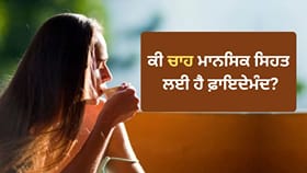 ਚਾਕਲੇਟ ਵਾਂਗ ਕੀ ਚਾਹ ਵੀ ਦਿਮਾਗ ਨੂੰ ਆਰਾਮ ਦਿੰਦੀ ਹੈ? ਜਾਣੋ ਮਾਹਰਾਂ ਦੀ ਰਾਏ