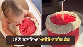 ਮਾਂ ਨੇ ਬੇਟੇ ਦੇ ਪਹਿਲੇ ਜਨਮਦਿਨ 'ਤੇ ਬਣਾਇਆ ਅਜੀਬ ਕੇਕ, ਇੰਟਰਨੈੱਟ 'ਤੇ ਛਿੜੀ ਬਹਿਸ