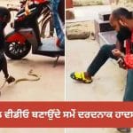 Viral Video: Instagram Reel ਬਣਾਉਣ ਦੇ ਚੱਕਰ ‘ਚ ਗਈ ਸਨੈਕ ਕੈਚਰ ਦੀ ਜਾਨ, ਕੋਬਰਾ ਨੇ ਕਈ ਵਾਰ ਡੰਗਿਆ