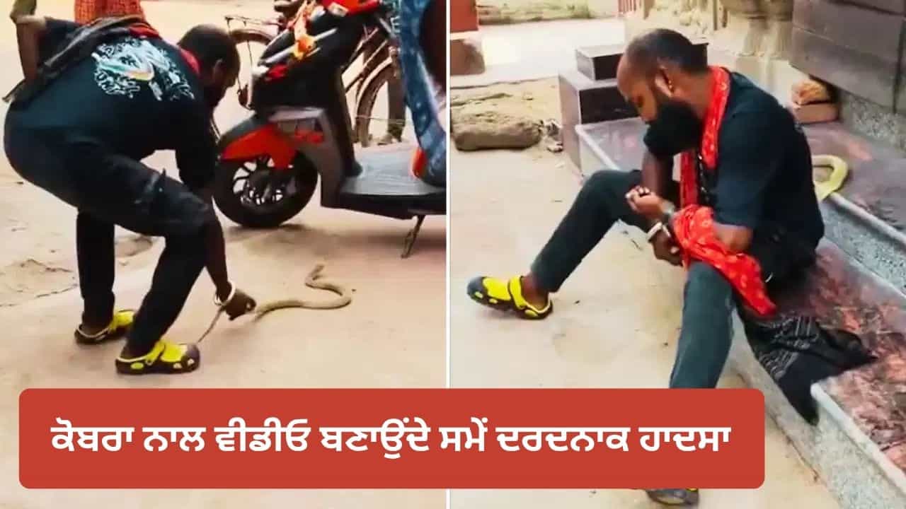 Viral Video: Instagram Reel ਬਣਾਉਣ ਦੇ ਚੱਕਰ ਚ ਗਈ ਸਨੈਕ ਕੈਚਰ ਦੀ ਜਾਨ, ਕੋਬਰਾ ਨੇ ਕਈ ਵਾਰ ਡੰਗਿਆ