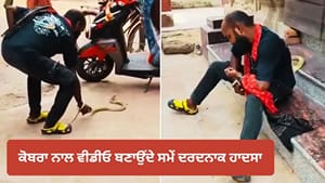 ਕੋਬਰਾ ਨਾਲ ਵੀਡੀਓ ਸ਼ੂਟ ਕਰ ਰਿਹਾ ਸੀ ਸਨੈਕ ਕੈਚਰ, ਸੱਪ ਦੇ ਡੰਗਣ ਨਾਲ ਹੋਈ ਮੌਤ